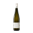 Obrázek Grüner Veltliner Wagram 2024, Weingut Schuster, Wagram, Rakousko, bio vinařství
