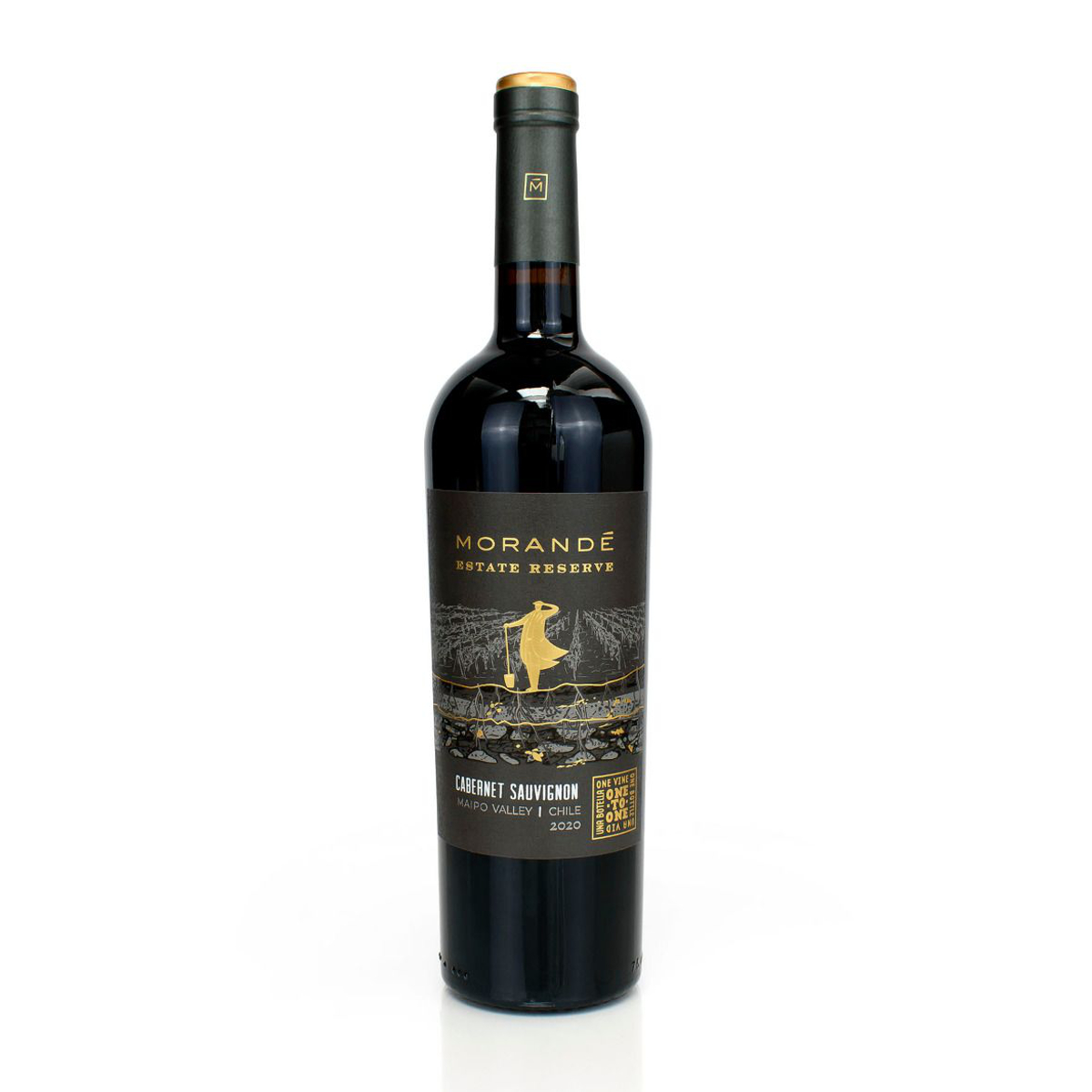 Obrázek Cabernet Sauvignon 2019, Morandé, Chile