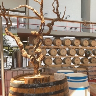 Obrázek pro kategorii Italská vína