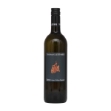 Obrázek Grüner Veltliner Kamptal 2023, Weingut Leithner,  Kamptal, Rakousko