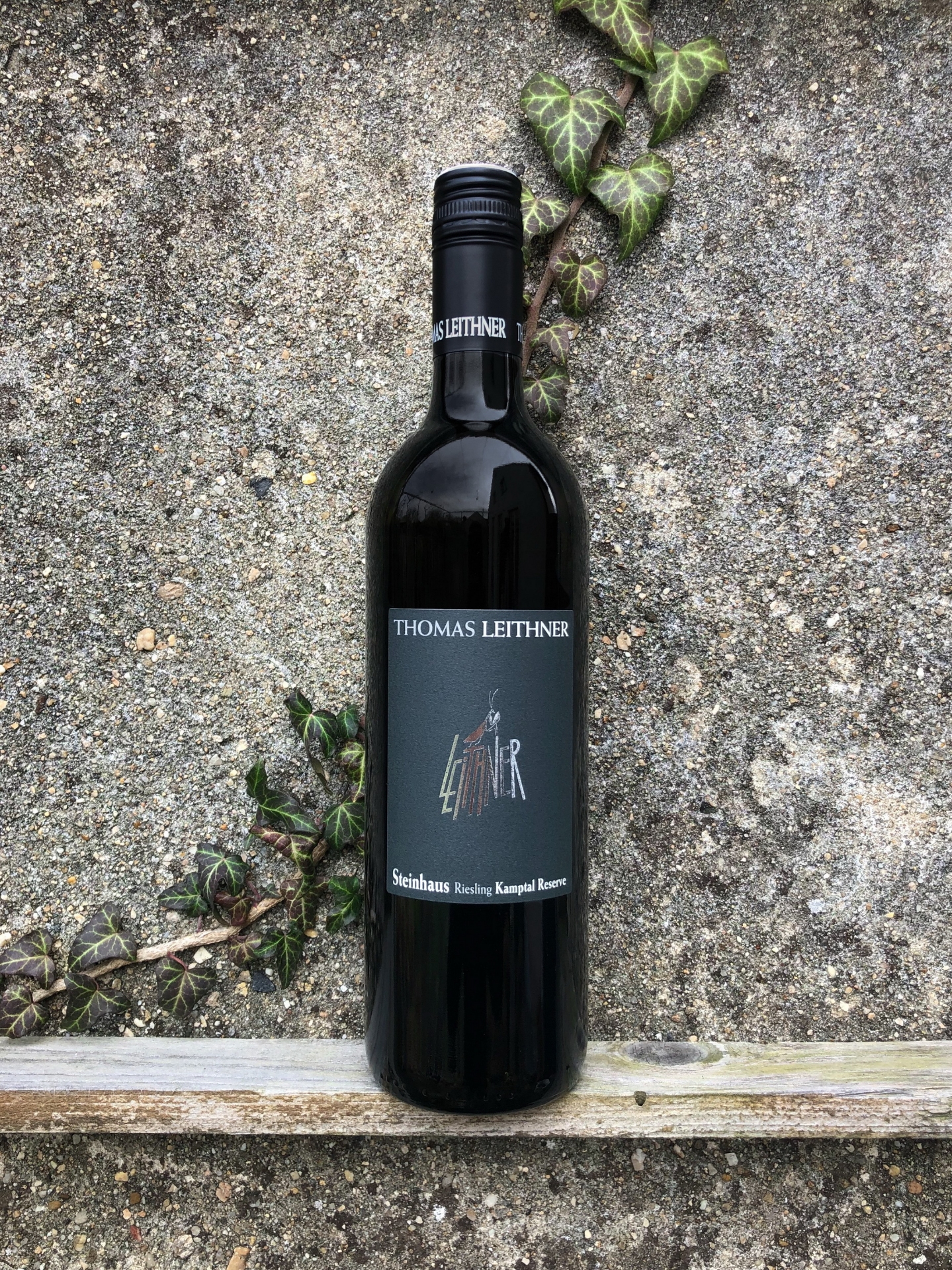 Obrázek Riesling Steinhaus Kamptal reserve 2022, Weingut Leithner,  Kamptal, Rakousko