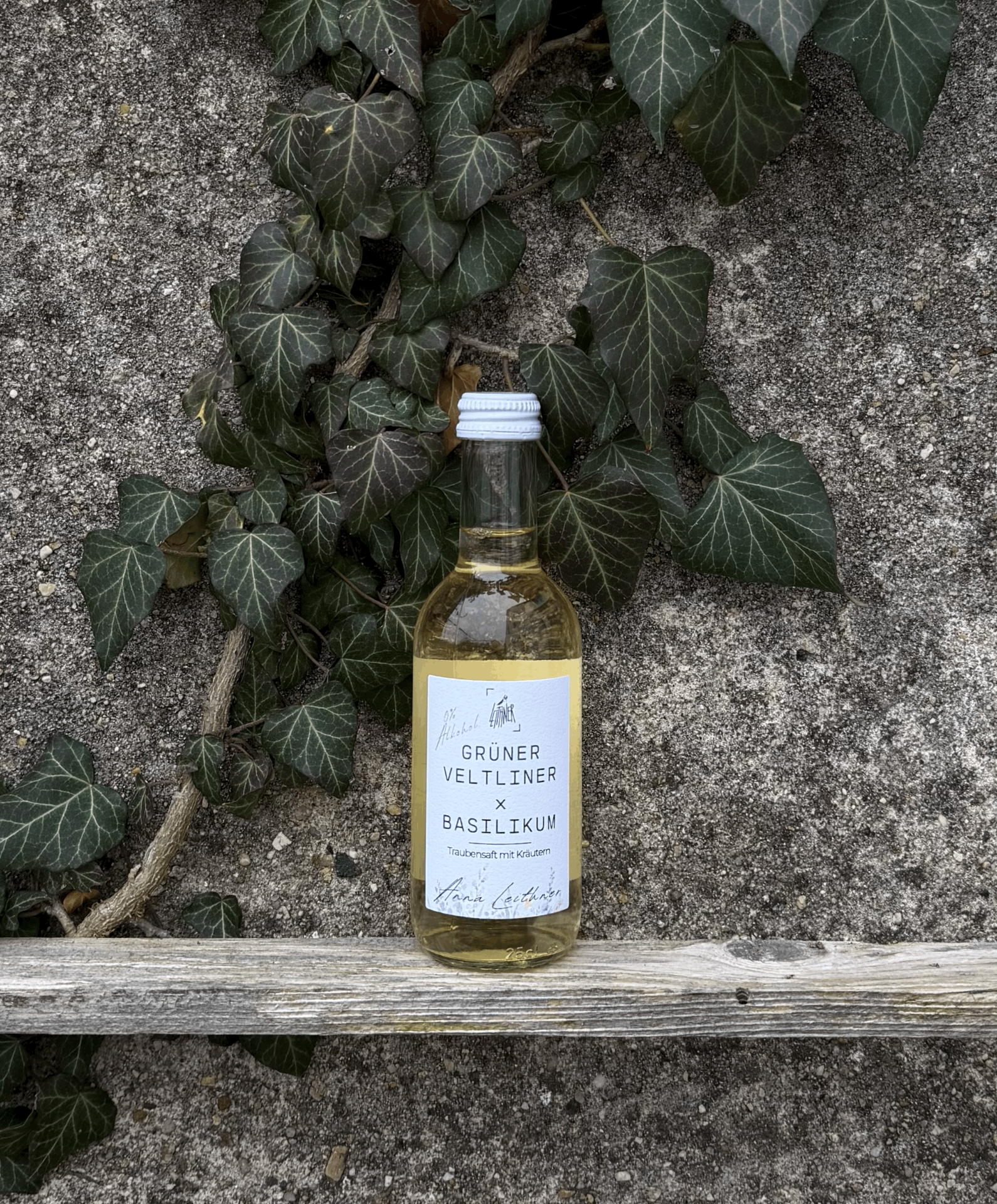 Obrázek Vinný mošt Grüner Veltliner x bazalka 2025, Weingut Leithner,  Kamptal, Rakousko