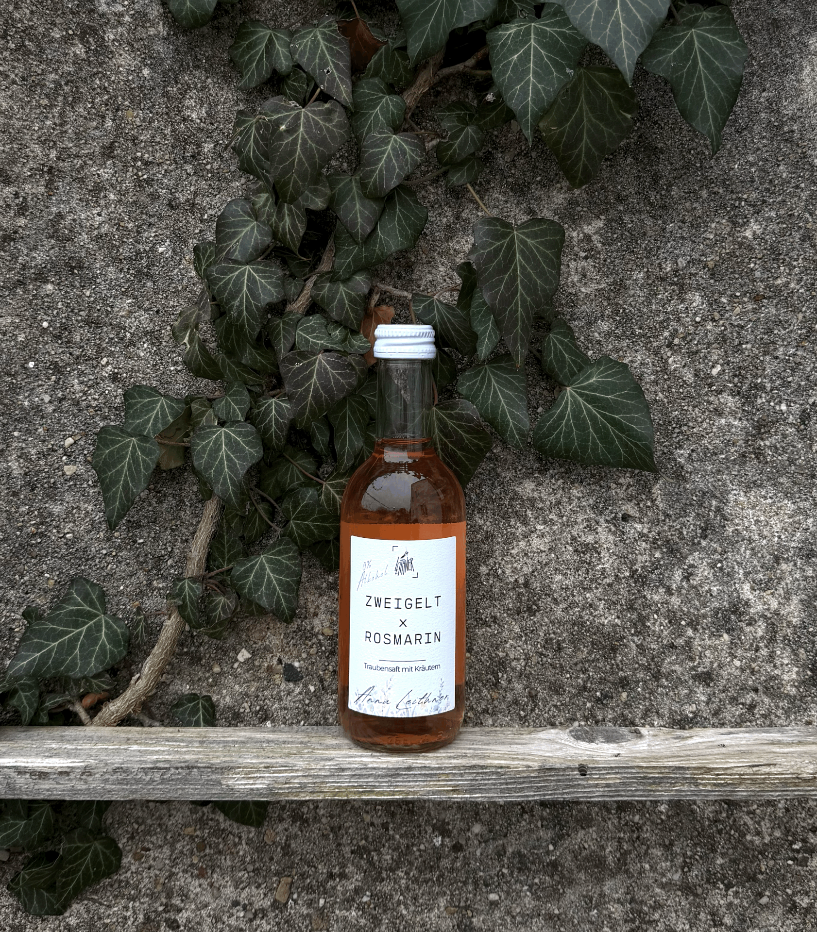 Obrázek Vinný mošt Zweigelt x rozmarýn 2025, Weingut Leithner,  Kamptal, Rakousko